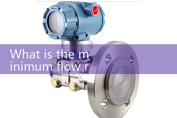 Steam turbine flowmeter