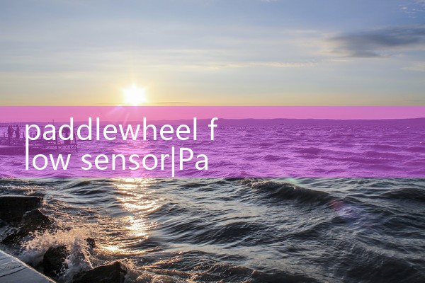 paddlewheel flow sensor|mass flow meter