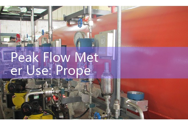 Peak Flow Meter Use: Proper Daily Breathing Test Techniques