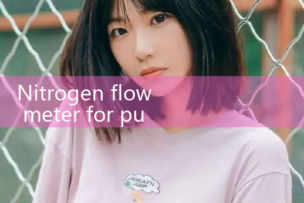 nitrogen flow meter for purging|flow meter distributor