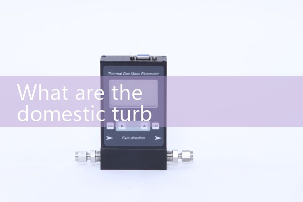 Domestic turbine flowmeter
