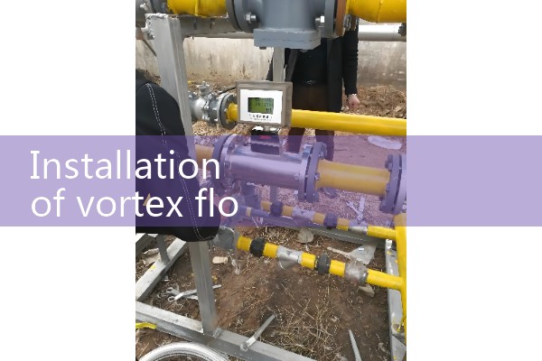 Air flow meter