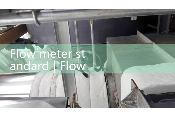 Flow meter standard