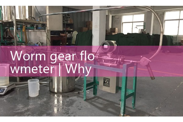 Worm gear flowmeter