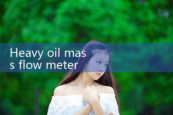 heavy oil mass flow meter|rotameter flow meter