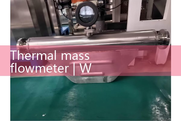 Thermal mass flowmeter