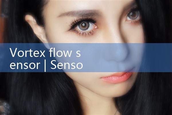 vortex flow sensor|mass flow meter