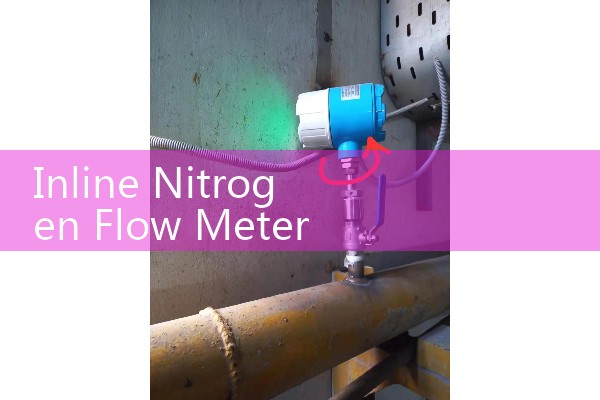 Inline Nitrogen Flow Meter: Thermal Mass Gas Purging Consumption Controls