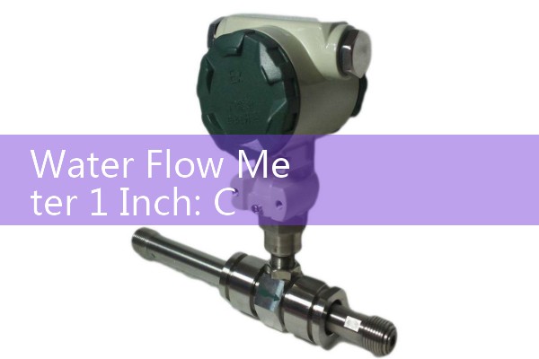 Water Flow Meter 1 Inch: Commercial Brass and Stainless Steel Spool Pieces