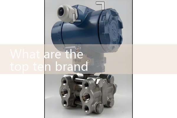 Orifice flowmeter