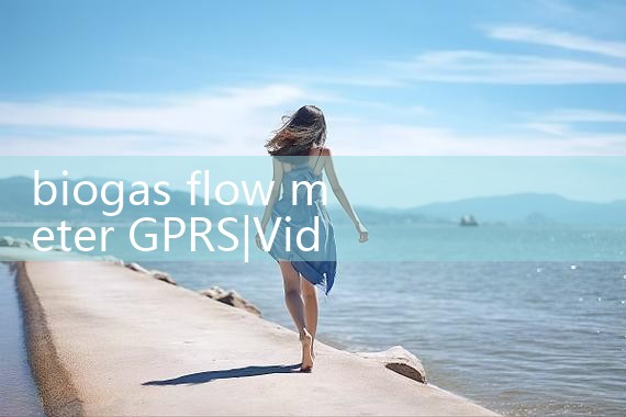 biogas flow meter GPRS|flow meter distributor