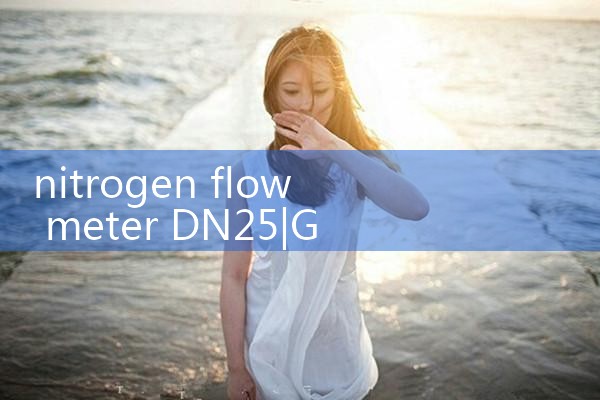 nitrogen flow meter DN25|flow meter distributor