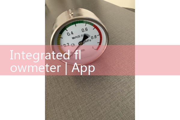 Integrated flowmeter