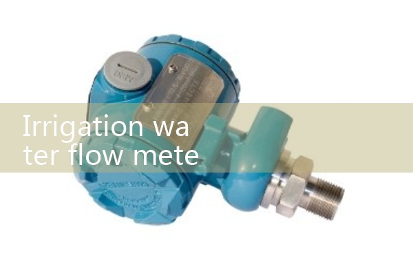 Irrigation water flow meter