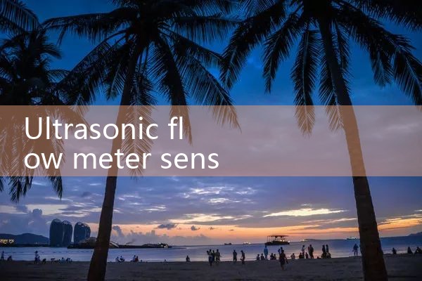 ultrasonic flow meter sensor|mass flow meter
