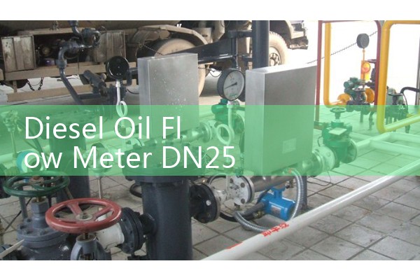 Diesel Oil Flow Meter DN25 Pressure Drop Optimizations