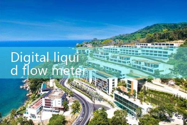 digital liquid flow meter|rotameter flow meter