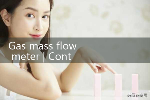 gas mass flow meter|gas flow meter