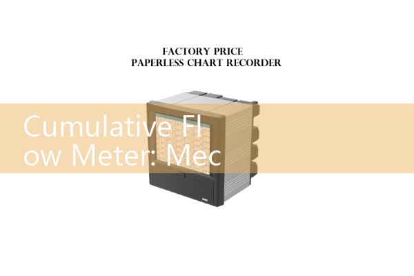 Cumulative Flow Meter: Mechanical and Digital Volumetric Totalizer Devices