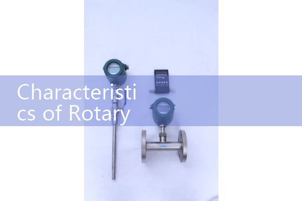 Characteristics of rotor flowmeter