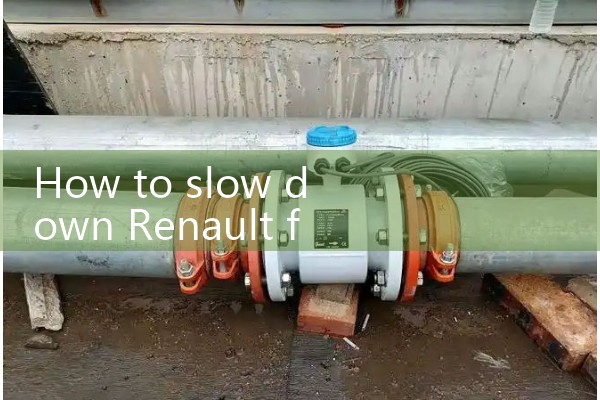 Renault flowmeter
