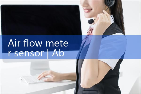 air flow meter sensor|balo meter