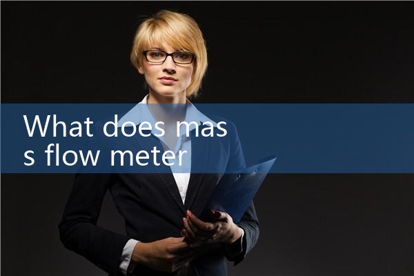 mass flow meter for hot oil|gas flow meter