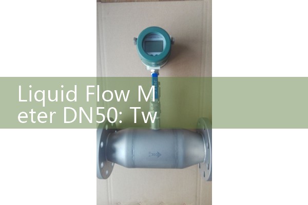 Liquid Flow Meter DN50: Two-Inch Nominal Diameter Commercial Utility Valves