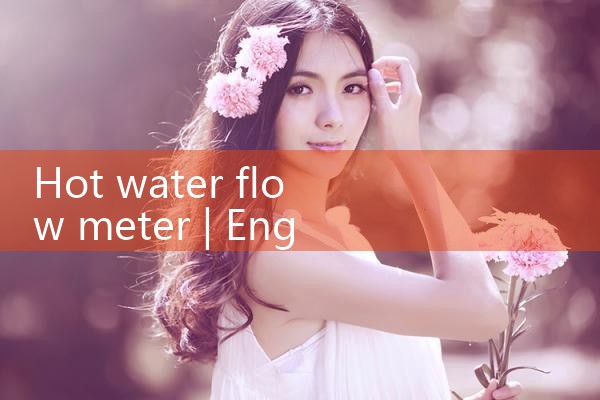 hot water flow meter|rotameter flow meter