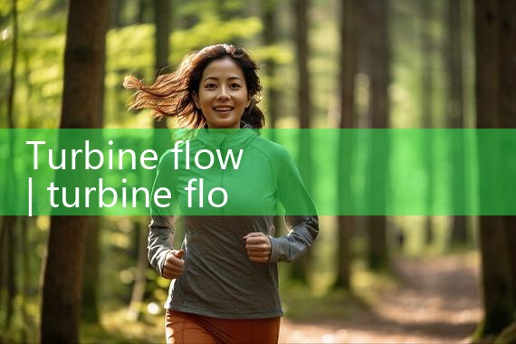 turbine flow|mass flow meter