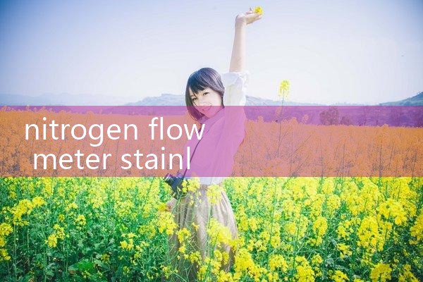 nitrogen flow meter stainless steel|flow meter distributor