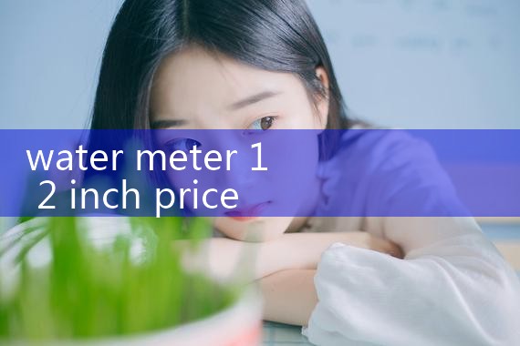 water meter 1 2 inch price|balo meter