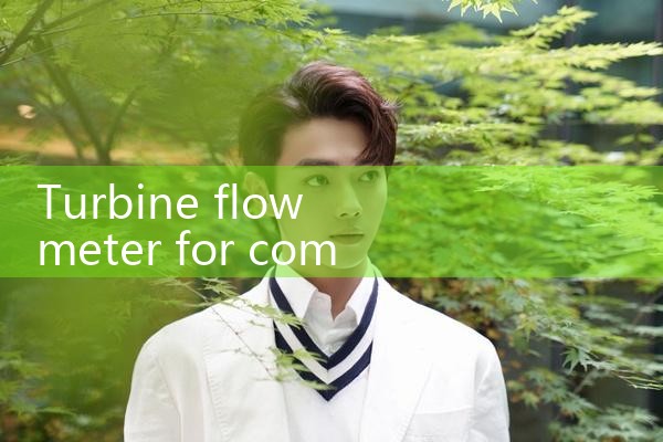 turbine flow meter for compressed air|mass flow meter
