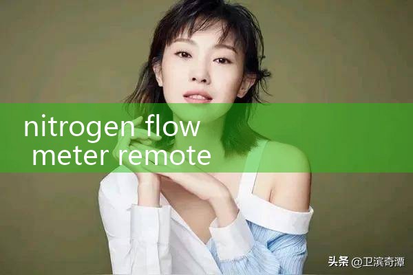 nitrogen flow meter remote type|flow meter distributor