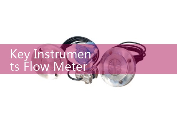 Key Instruments Flow Meter Calibration: Cleaning and Adjusting Stainless Steel Float Balls inside Labs