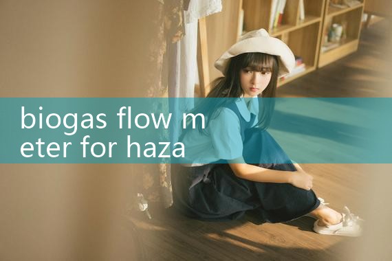 biogas flow meter for hazardous area|flow meter distributor