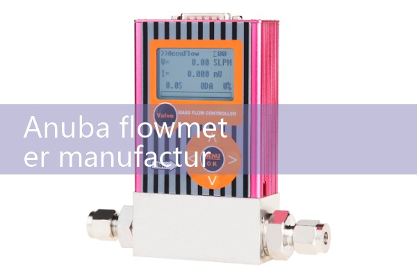 Anuba flowmeter manufacturer