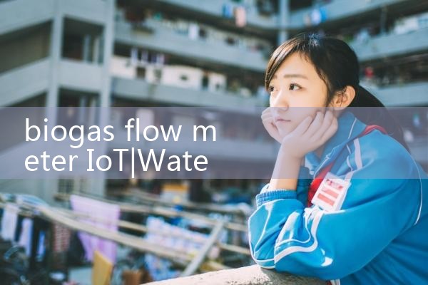 biogas flow meter IoT|flow meter distributor