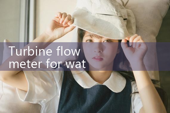 turbine flow meter for water|mass flow meter