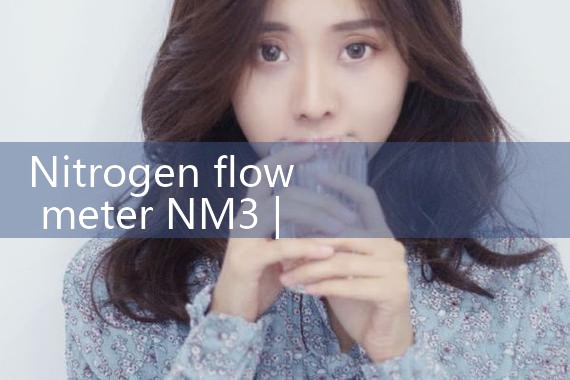 nitrogen flow meter NM3|flow meter distributor