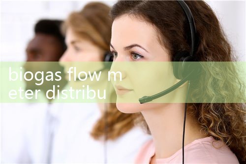 biogas flow meter distributor|flow meter distributor