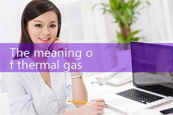 thermal gas mass flow meter|gas flow meter
