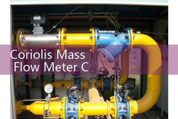 Coriolis Mass Flow Meter Cost & ROI Analysis Guide