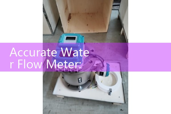 Accurate Water Flow Meter: Precision infrastructure submetering systems.