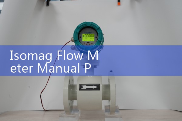 Isomag Flow Meter Manual PDF: Terminal Grounding ring Configurations and 4-20mA Signal Output Scale Settings