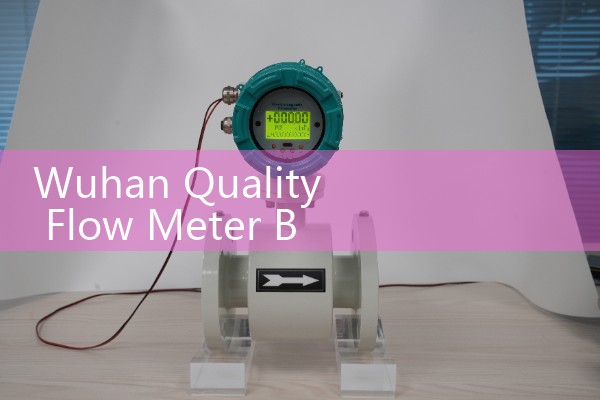 Wuhan Quality Flow Meter Brand