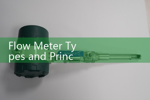 Rotary flowmeter LZB