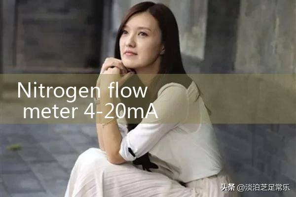 nitrogen flow meter 4-20mA|flow meter distributor