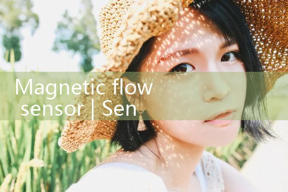 magnetic flow sensor|gas flow meter
