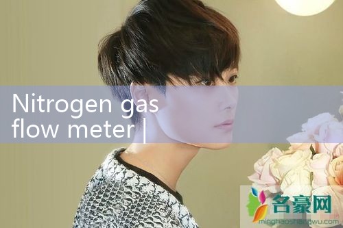 nitrogen gas flow meter|flow meter distributor